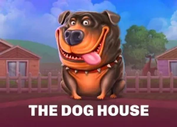 The dog house
